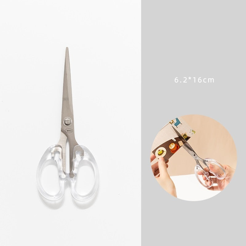 Stainless Steel Scissors (color options)