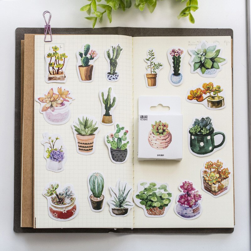 Succulent Plants Stickers (50/box)