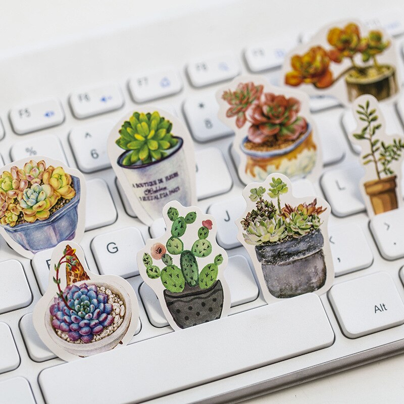 Succulent Plants Stickers (50/box)