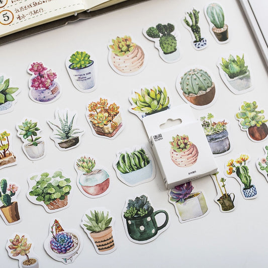 Succulent Plants Stickers (50/box)