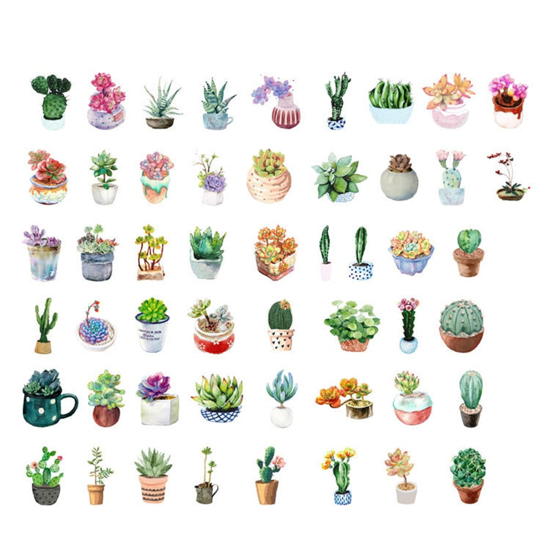 Succulent Plants Stickers (50/box)