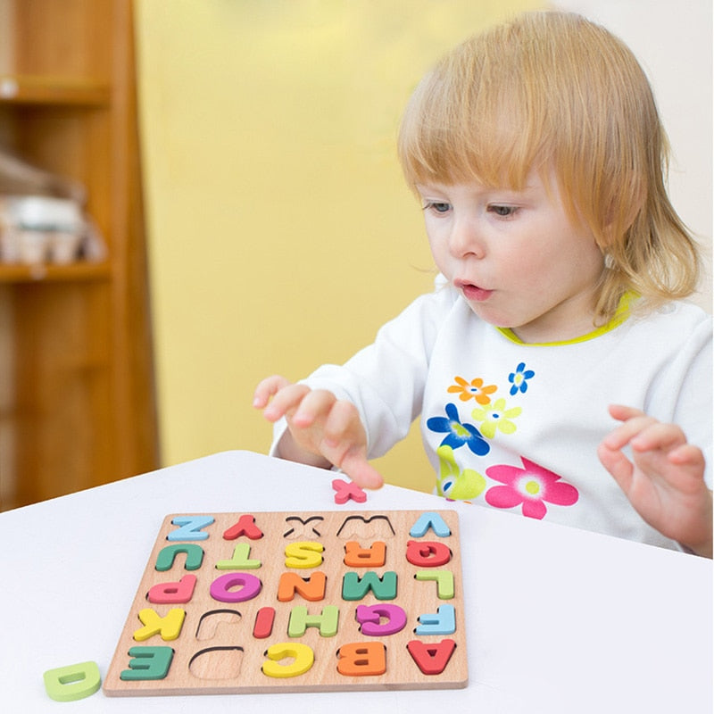 Montessori Wooden Puzzle