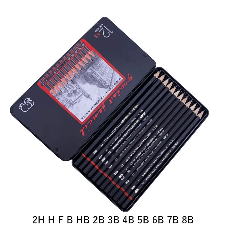 Professional Drawing Sketching Pencil Set 12 Pieces