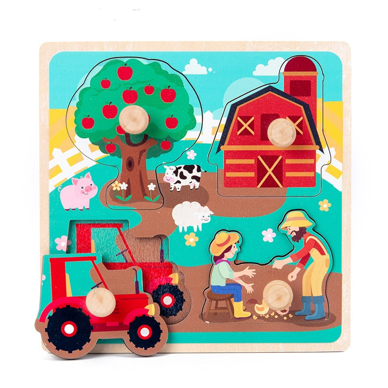 Montessori Wooden Puzzles