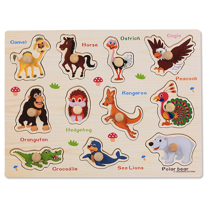 Montessori Wooden Puzzles