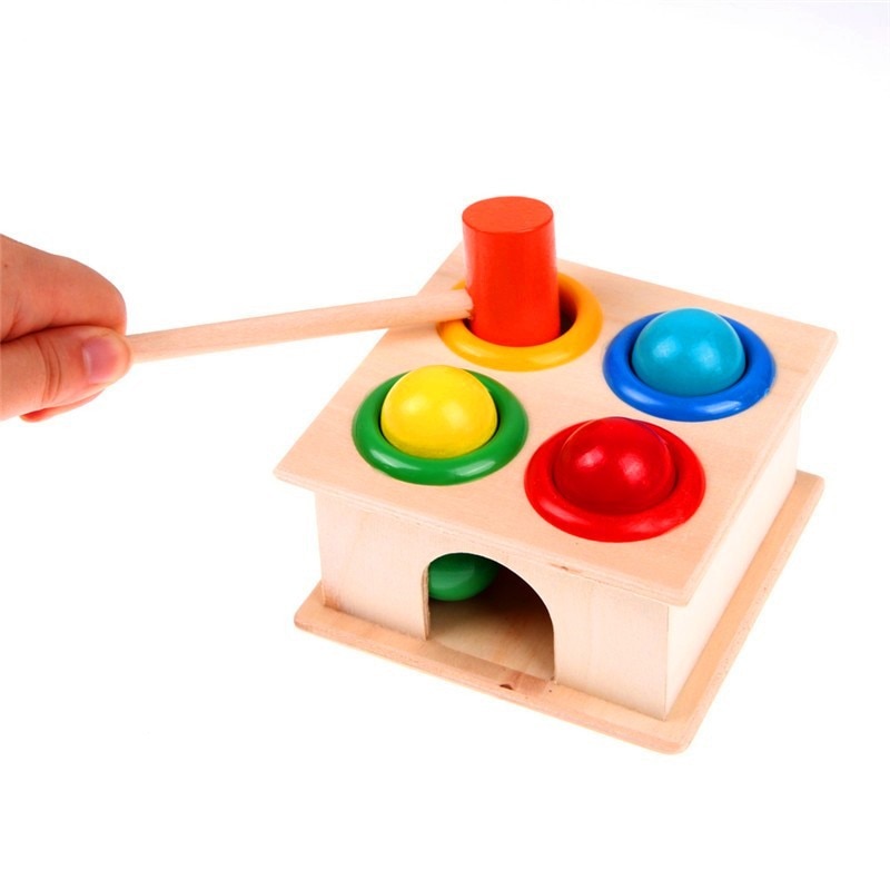 Montessori Wooden Puzzle