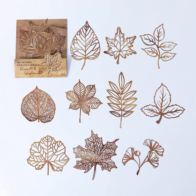 Decorative Paper Die Cuts (style options)